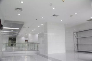 中深裝集團精品工程丨深圳市政府采購中心集中采購平臺裝飾工程