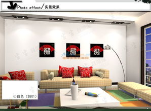 上海江蘇硅藻泥環保涂料專業工程施工價格廠家批發零售公司采購 杭州順為裝飾
